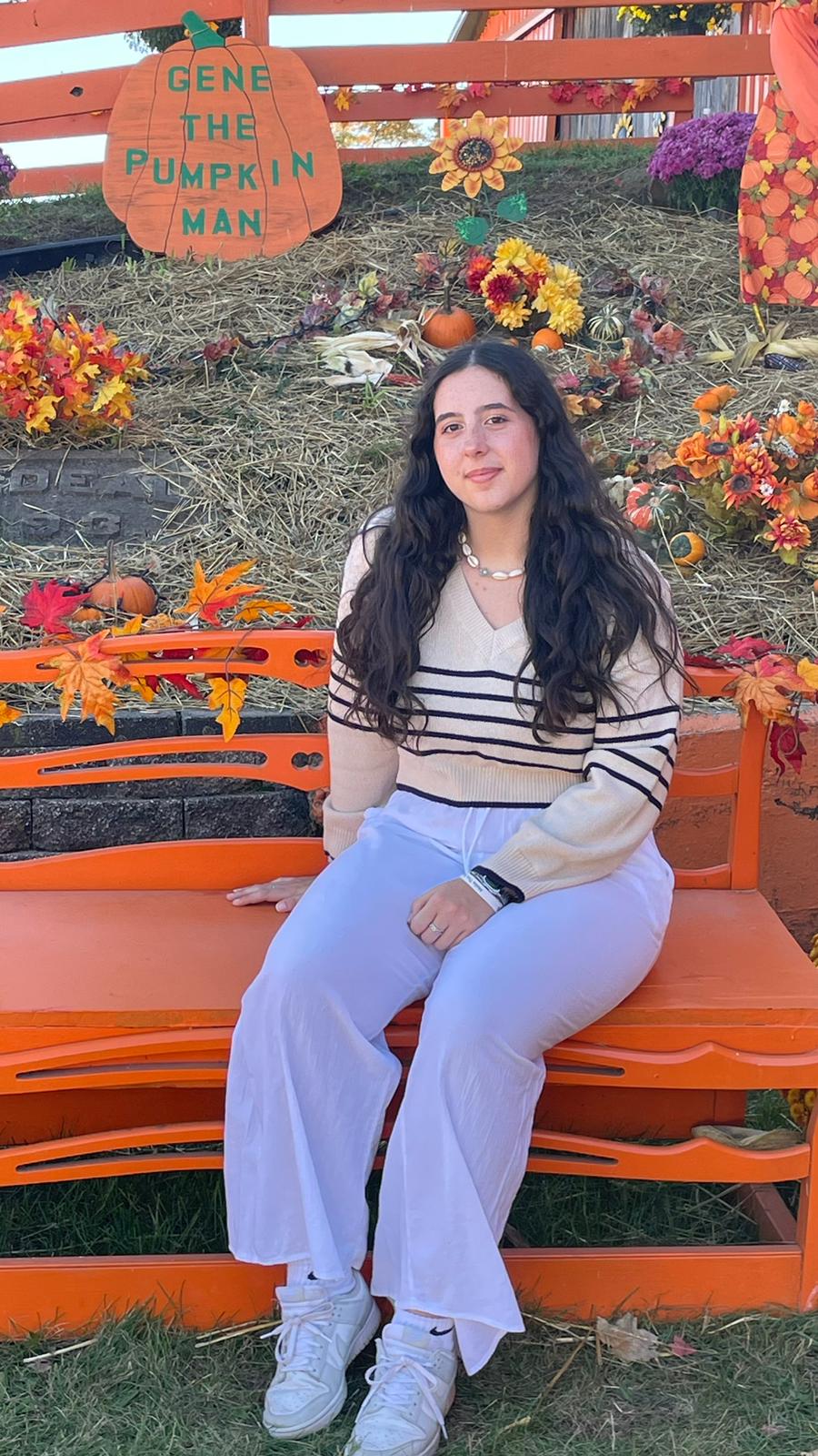 Esperienza Anno Estero