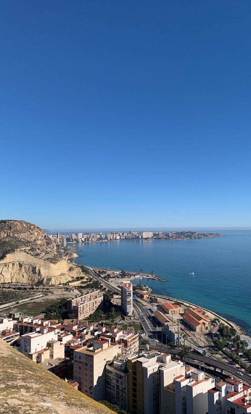 Esperienza Anno Estero