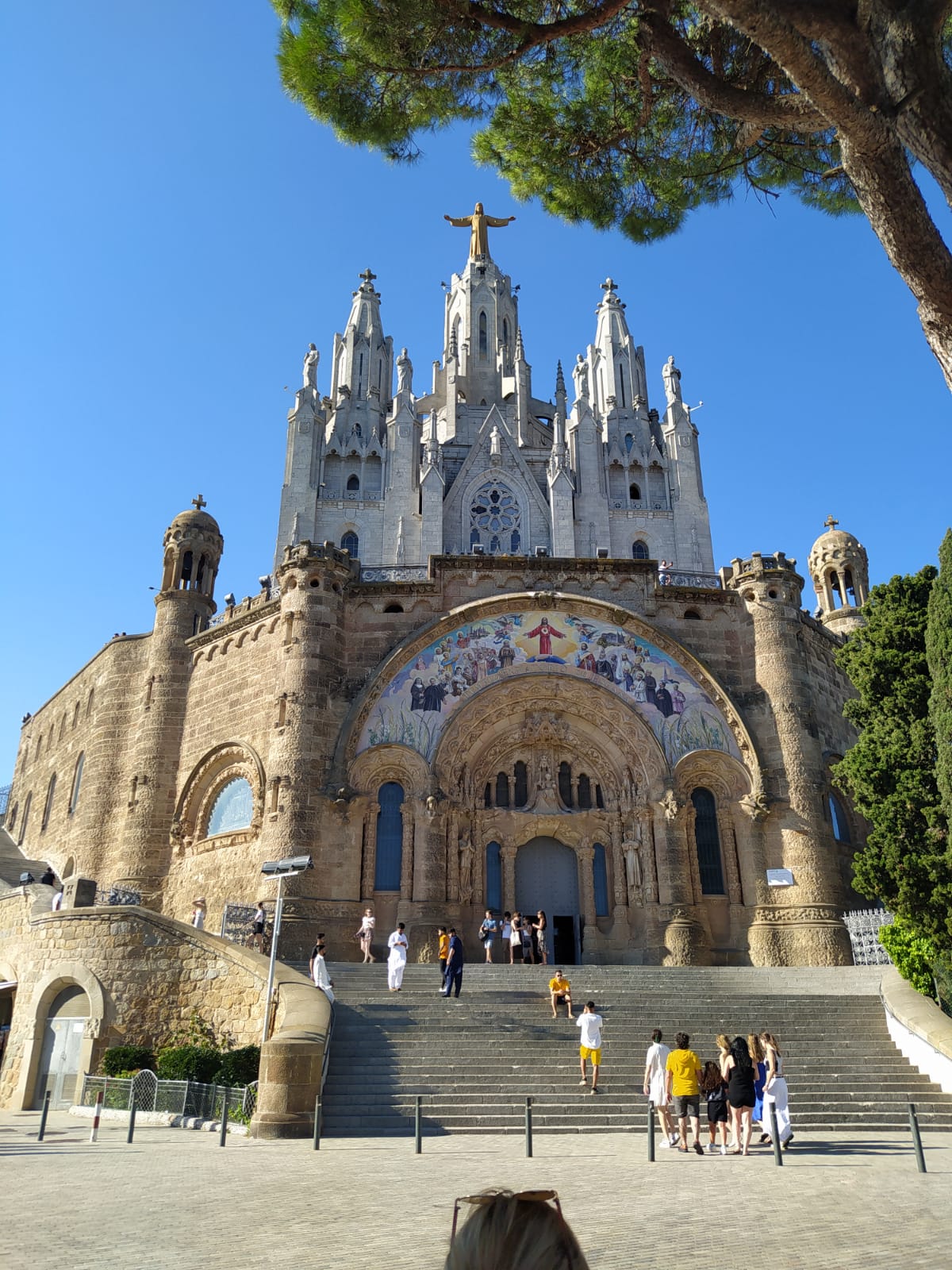 Vita Locale